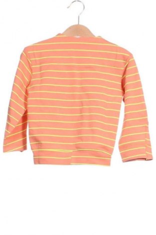 Kinder Shirt Unbranded, Größe 2-3y/ 98-104 cm, Farbe Mehrfarbig, Preis € 4,99