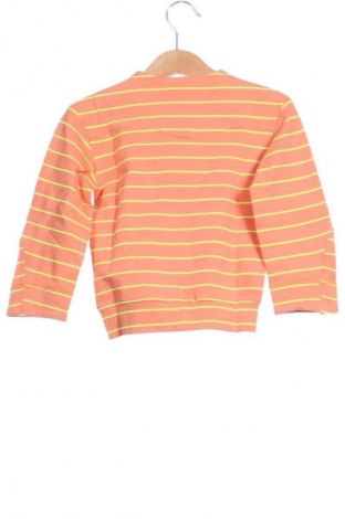 Kinder Shirt Unbranded, Größe 2-3y/ 98-104 cm, Farbe Mehrfarbig, Preis € 7,99