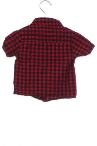 Детска риза Rebel, Размер 12-18m/ 80-86 см, Цвят Многоцветен, Цена 5,11 €