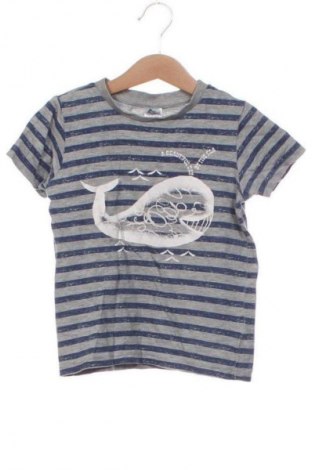 Dziecięcy T-shirt Papagino, Rozmiar 2-3y/ 98-104 cm, Kolor Kolorowy, Cena 26,99 zł