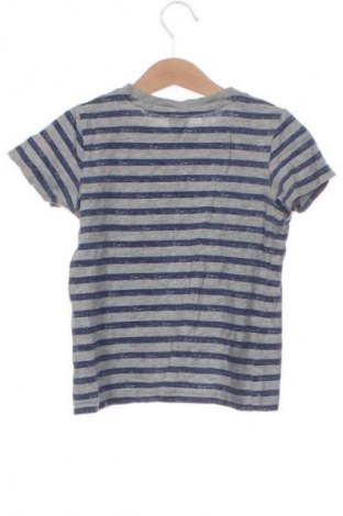 Dziecięcy T-shirt Papagino, Rozmiar 2-3y/ 98-104 cm, Kolor Kolorowy, Cena 26,99 zł