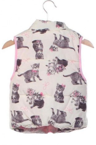 Dětská vesta  Coolclub, Velikost 9-12m/ 74-80 cm, Barva Vícebarevné, Cena  299,00 Kč