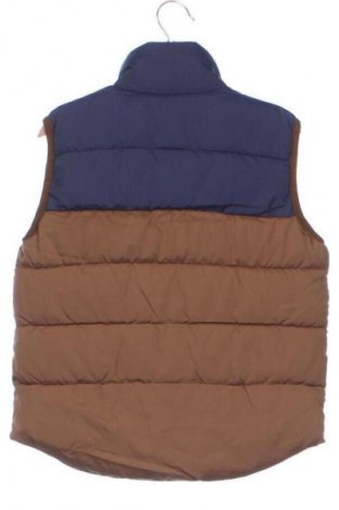 Dětská vesta  Sinsay, Velikost 4-5y/ 110-116 cm, Barva Vícebarevné, Cena  319,00 Kč