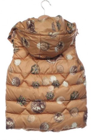 Dětská vesta  Unbranded, Velikost 5-6y/ 116-122 cm, Barva Hnědá, Cena  299,00 Kč