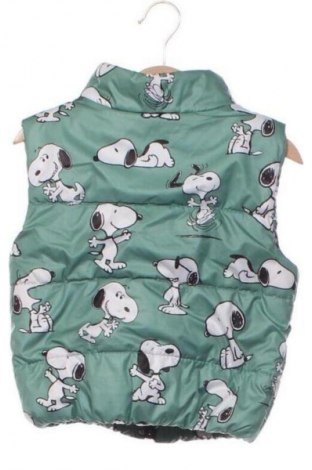 Dětská vesta  Unbranded, Velikost 3-4y/ 104-110 cm, Barva Vícebarevné, Cena  319,00 Kč