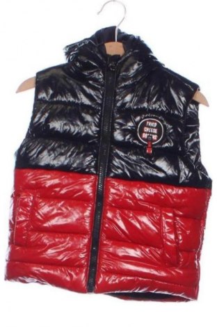 Kinderweste Unbranded, Größe 2-3y/ 98-104 cm, Farbe Mehrfarbig, Preis € 4,50