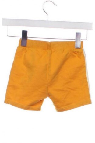 Детски къс панталон LCW, Размер 2-3y/ 98-104 см, Цвят Многоцветен, Цена 6,64 €