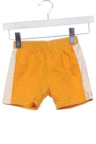 Детски къс панталон LCW, Размер 2-3y/ 98-104 см, Цвят Многоцветен, Цена 6,64 €