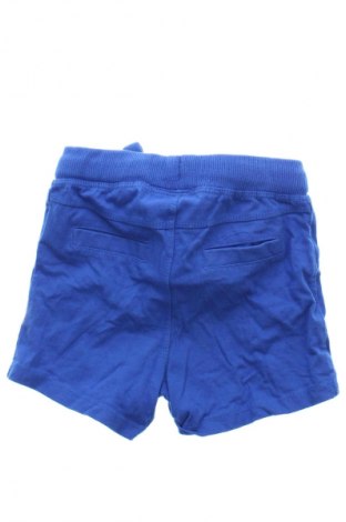 Dziecięce szorty Lupilu, Rozmiar 12-18m/ 80-86 cm, Kolor Niebieski, Cena 25,99 zł