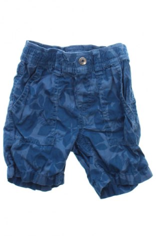 Dziecięce szorty Papagino, Rozmiar 12-18m/ 80-86 cm, Kolor Kolorowy, Cena 25,99 zł