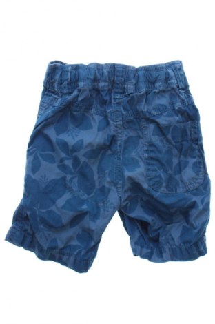 Dziecięce szorty Papagino, Rozmiar 12-18m/ 80-86 cm, Kolor Kolorowy, Cena 25,99 zł