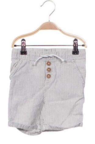 Детски къс панталон Unbranded, Размер 2-3y/ 98-104 см, Цвят Многоцветен, Цена 7,15 €