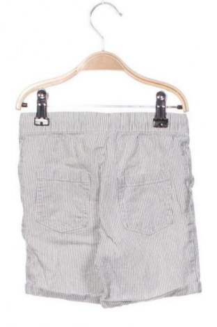 Детски къс панталон Unbranded, Размер 2-3y/ 98-104 см, Цвят Многоцветен, Цена 7,15 €