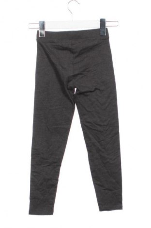 Detské legíny  Alive, Veľkosť 5-6y/ 116-122 cm, Farba Sivá, Cena  3,95 €