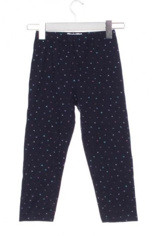 Dziecięce legginsy Tex, Rozmiar 13-14y/ 164-168 cm, Kolor Kolorowy, Cena 25,99 zł