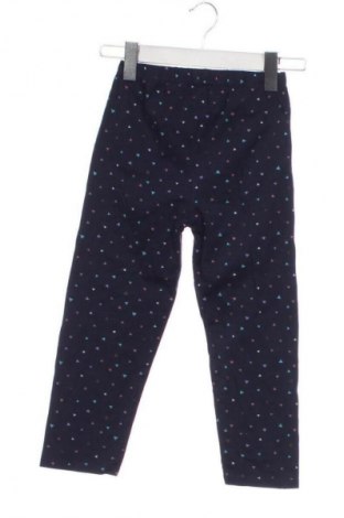 Dziecięce legginsy Tex, Rozmiar 13-14y/ 164-168 cm, Kolor Kolorowy, Cena 25,99 zł