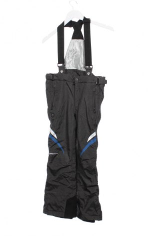 Παιδικό παντελόνι για χειμερινά σπορ Unbranded, Μέγεθος 9-10y/ 140-146 εκ., Χρώμα Γκρί, Τιμή 17,99 €