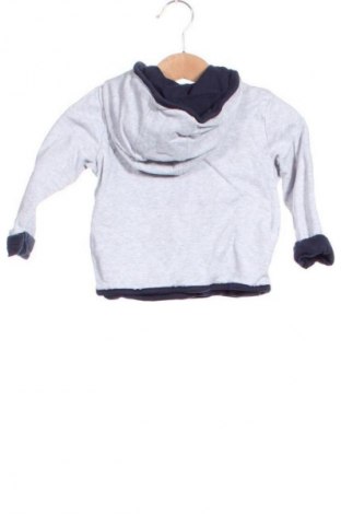 Παιδικό φούτερ Looney Tunes, Μέγεθος 18-24m/ 86-98 εκ., Χρώμα Γκρί, Τιμή 10,99 €