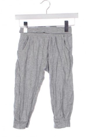 Dziecięce spodnie sportowe Pocopiano, Rozmiar 9-10y/ 140-146 cm, Kolor Szary, Cena 69,99 zł