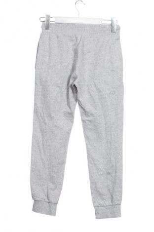 Dziecięce spodnie sportowe Unbranded, Rozmiar 9-10y/ 140-146 cm, Kolor Szary, Cena 62,99 zł