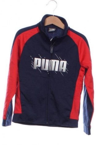 Kinder Sportoberteil PUMA, Größe 5-6y/ 116-122 cm, Farbe Mehrfarbig, Preis 11,99 €