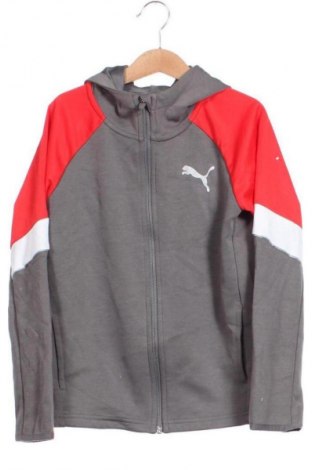 Dziecięca sportowa bluza PUMA, Rozmiar 8-9y/ 134-140 cm, Kolor Szary, Cena 61,99 zł