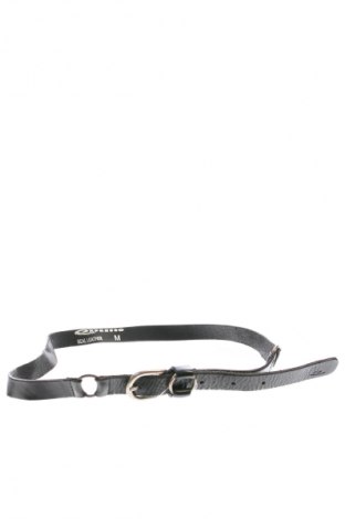 Curea Expresso, Culoare Negru, Preț 110,99 Lei