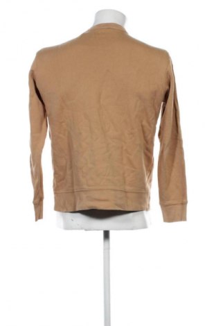 Herren Shirt Zara, Größe M, Farbe Beige, Preis € 8,99