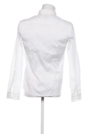 Męska koszula Armani Jeans, Rozmiar L, Kolor Biały, Cena 284,00 zł