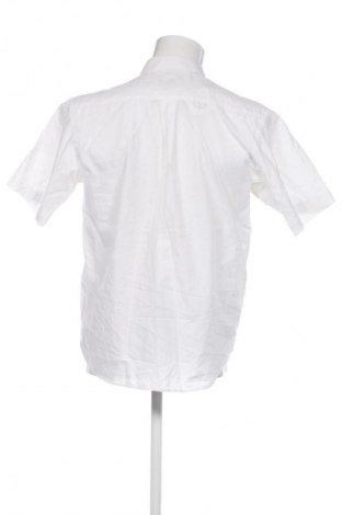 Herrenhemd Barotti, Größe M, Farbe Weiß, Preis € 10,99