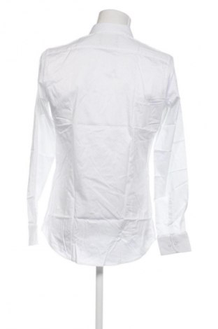 Herrenhemd Giacomo Conti, Größe M, Farbe Mehrfarbig, Preis € 42,99