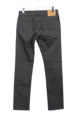 Herren Jeans Jack & Jones, Größe S, Farbe Grau, Preis 65,57 €