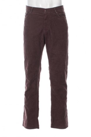Pantaloni raiați de bărbați Harmont & Blaine, Mărime L, Culoare Maro, Preț 114,99 Lei