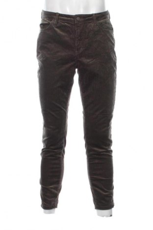 Herren Cordhose Jean Paul, Größe M, Farbe Grün, Preis € 13,99