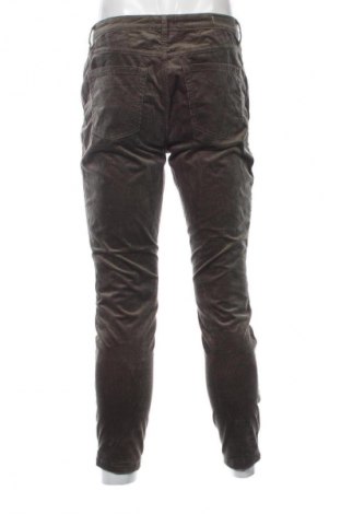Herren Cordhose Jean Paul, Größe M, Farbe Grün, Preis € 13,99