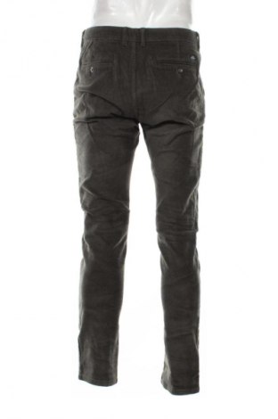 Herren Cordhose Livergy, Größe L, Farbe Grün, Preis € 12,99