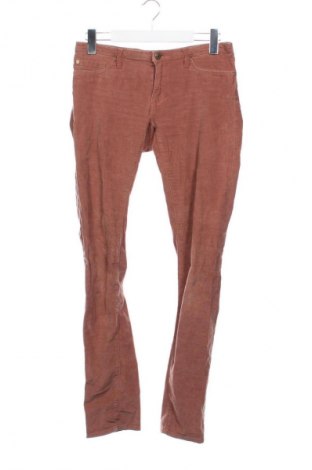 Męskie sztruksy Maison Scotch, Rozmiar S, Kolor Brązowy, Cena 83,99 zł