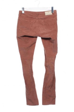 Męskie sztruksy Maison Scotch, Rozmiar S, Kolor Brązowy, Cena 83,99 zł