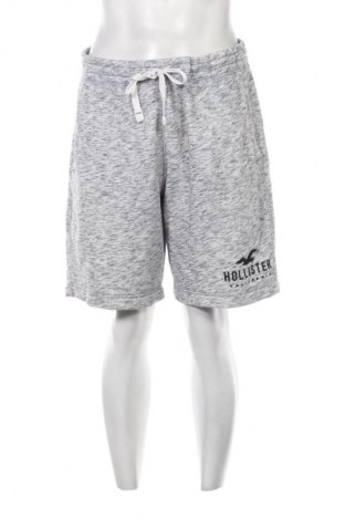 Pánske kraťasy  Hollister, Veľkosť L, Farba Viacfarebná, Cena  16,95 €