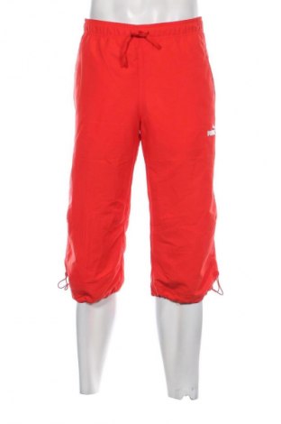 Pantaloni trening de bărbați PUMA, Mărime M, Culoare Roșu, Preț 99,99 Lei
