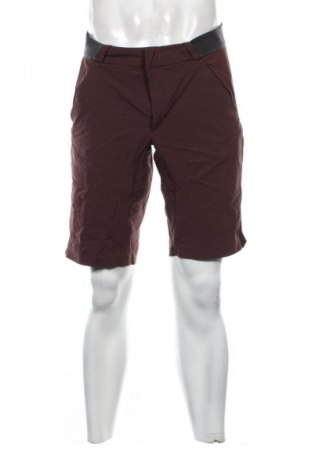 Pantaloni scurți de bărbați Unbranded, Mărime M, Culoare Maro, Preț 70,99 Lei