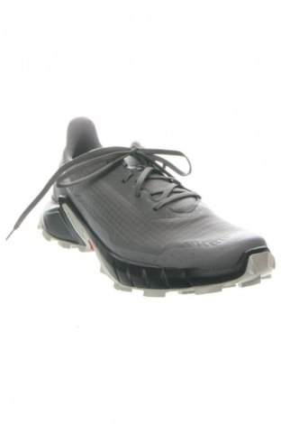 Herrenschuhe Salomon, Größe 45, Farbe Grau, Preis € 107,99