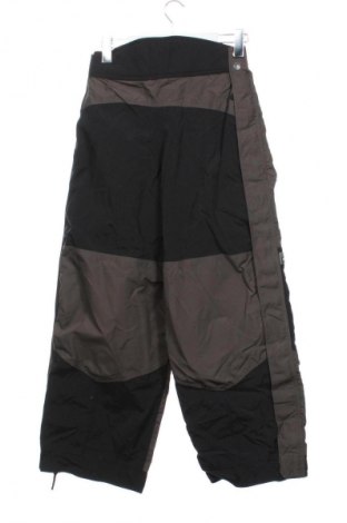 Pánske nohavice pre zimné sporty  Gotcha, Veľkosť XS, Farba Viacfarebná, Cena  17,95 €