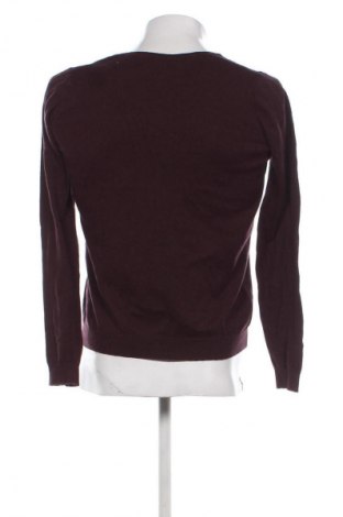Ανδρικό πουλόβερ CAPITOL, Μέγεθος L, Χρώμα Βιολετί, Τιμή 22,19 €