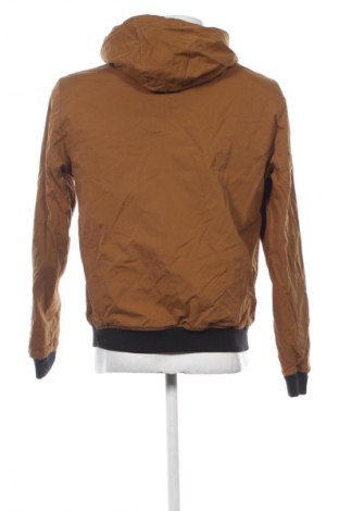 Мъжко яке Primark, Размер M, Цвят Кафяв, Цена 11,24 €