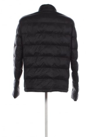 Herrenjacke Timberland, Größe L, Farbe Schwarz, Preis € 67,99