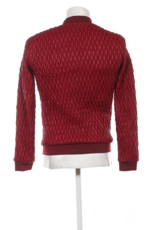 Herrenjacke Zara, Größe S, Farbe Rot, Preis € 16,99