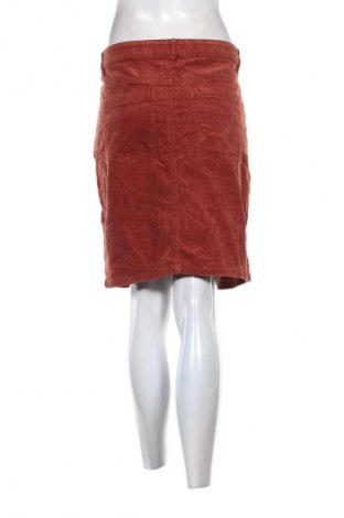 Rock Fransa, Größe XL, Farbe Orange, Preis € 8,99