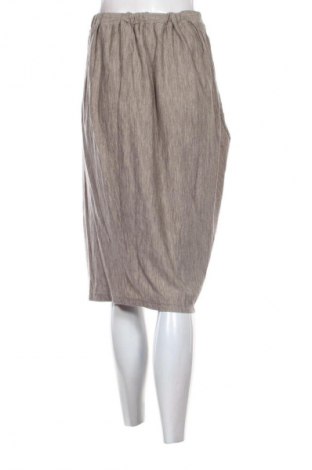 Rock Hessnatur, Größe L, Farbe Beige, Preis € 32,00