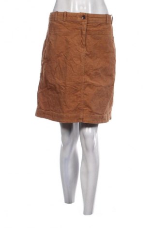 Sukňa More & More, Veľkosť XL, Farba Hnedá, Cena  10,95 €